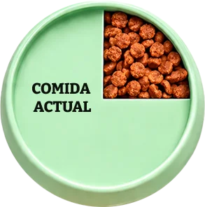 Croquetas Dogui Bienestar — 25% de la ración