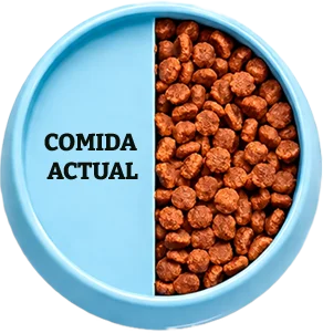 Croquetas Dogui Bienestar — 50% de la ración