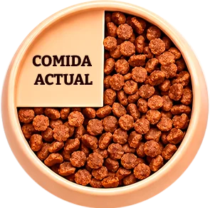 Croquetas Dogui Bienestar — 75% de la ración